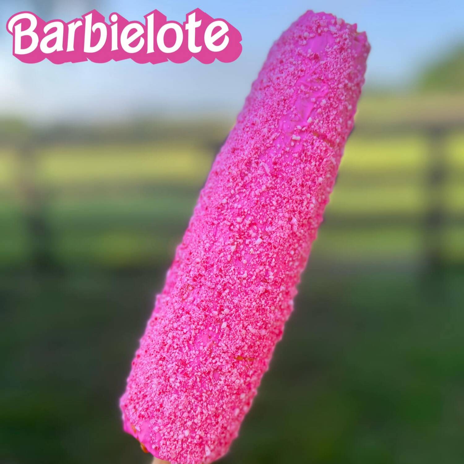 Barbie Elote