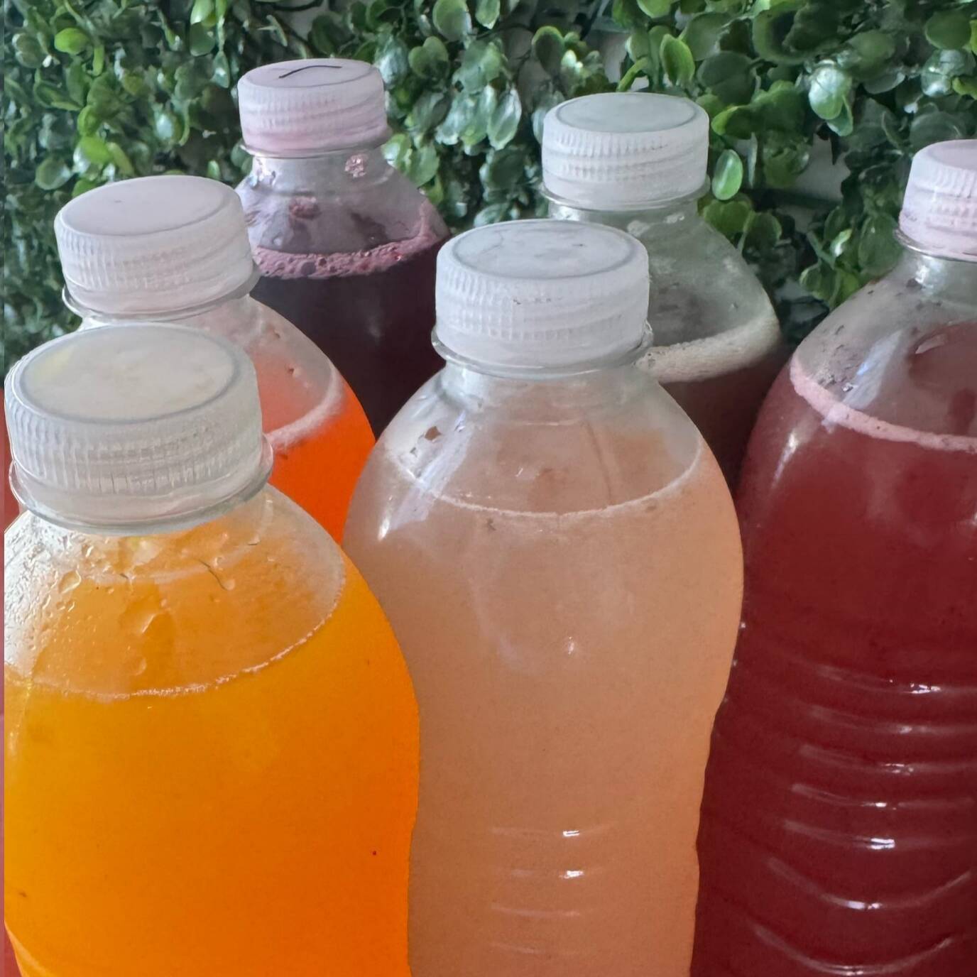 Aguas Frescas Medio L