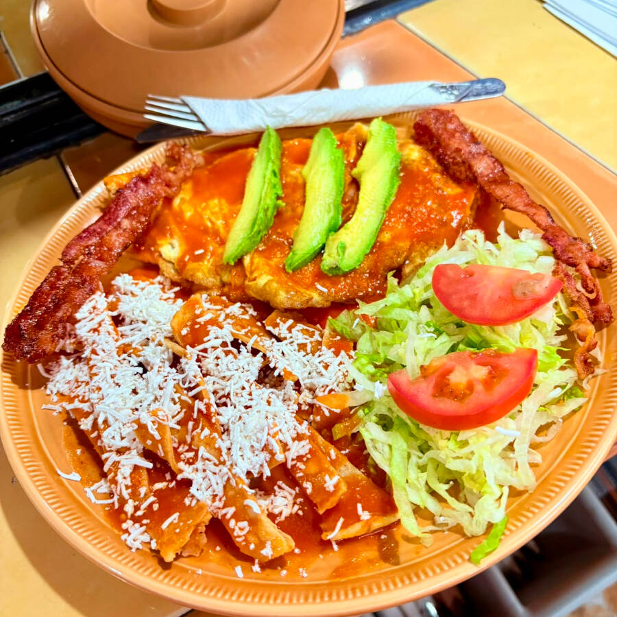 Guayin Torito Especial