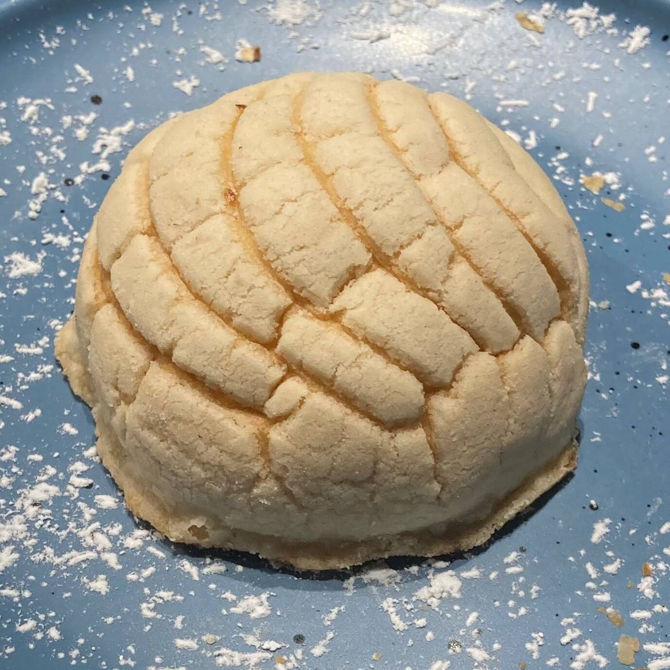 Conchita Mini