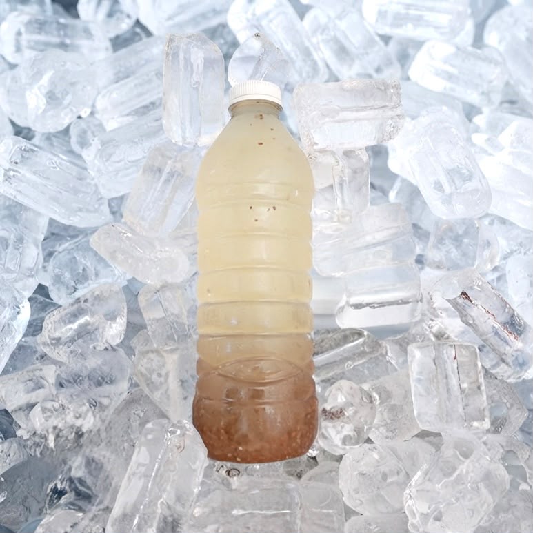 Agua de Limón con Chia