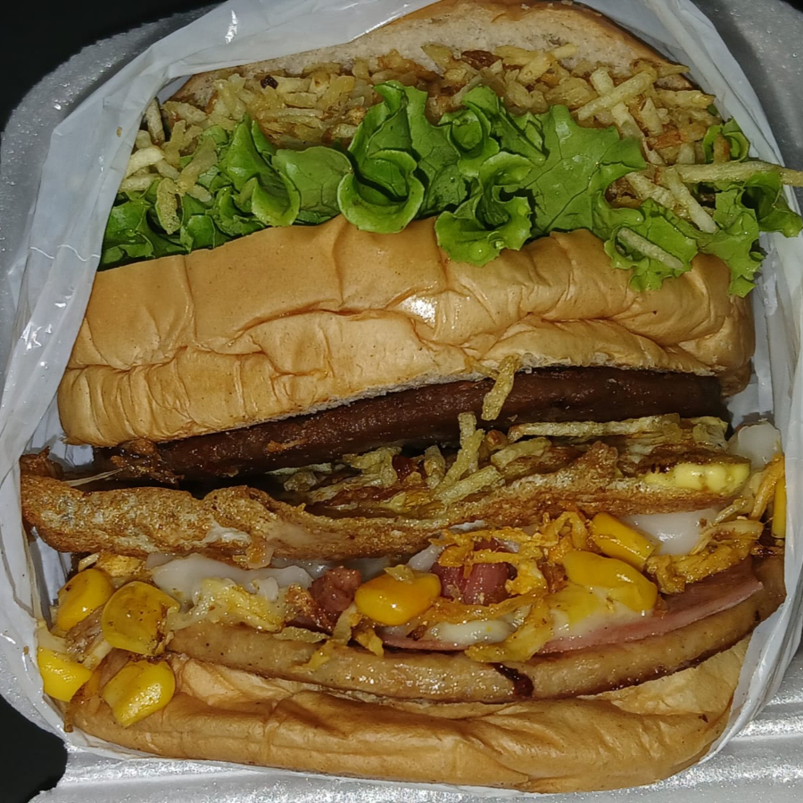 Pão,2 bife,frango,bacon, presunto , mussarela,ovo, catupiry,milho,tomate, alface e batata