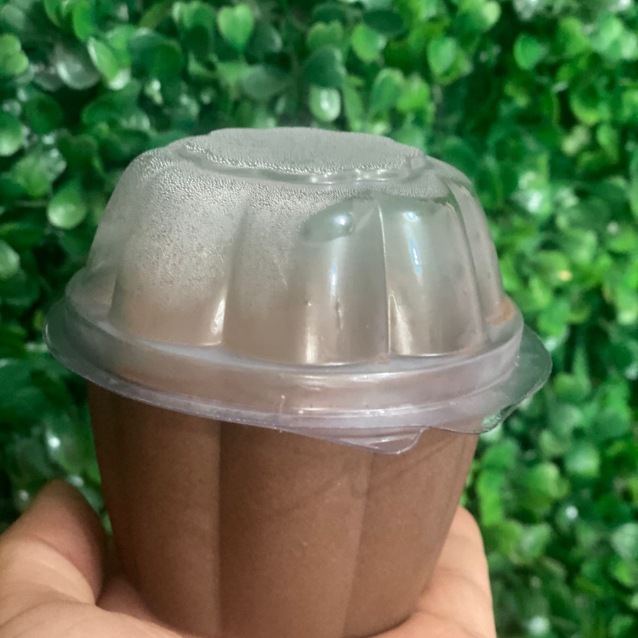 O melhor do chocolate em forma de mousse Danette dando mais sabor ao seu dia