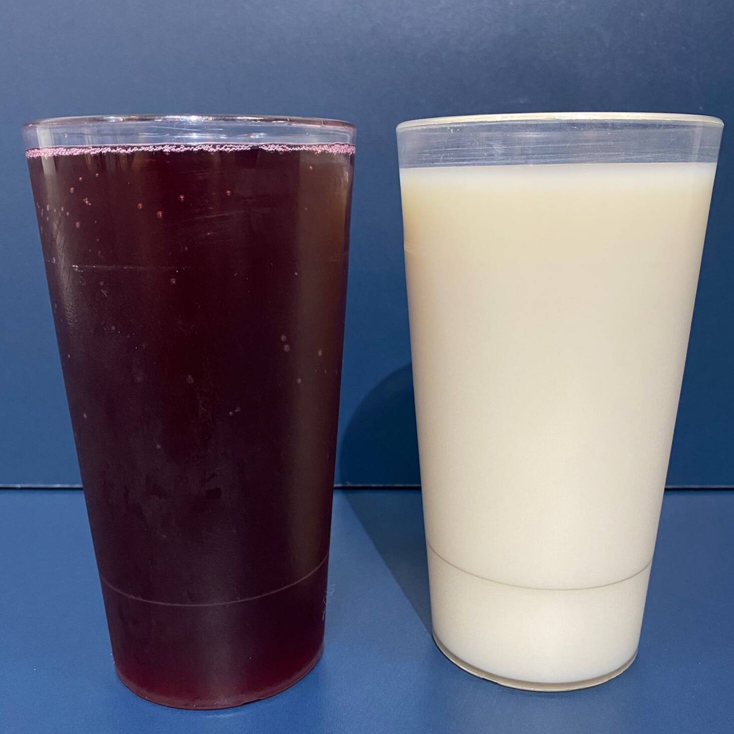 Agua de Jamaica