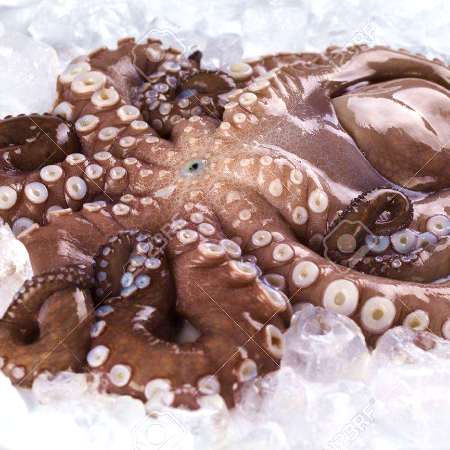 Pulpo Crudo