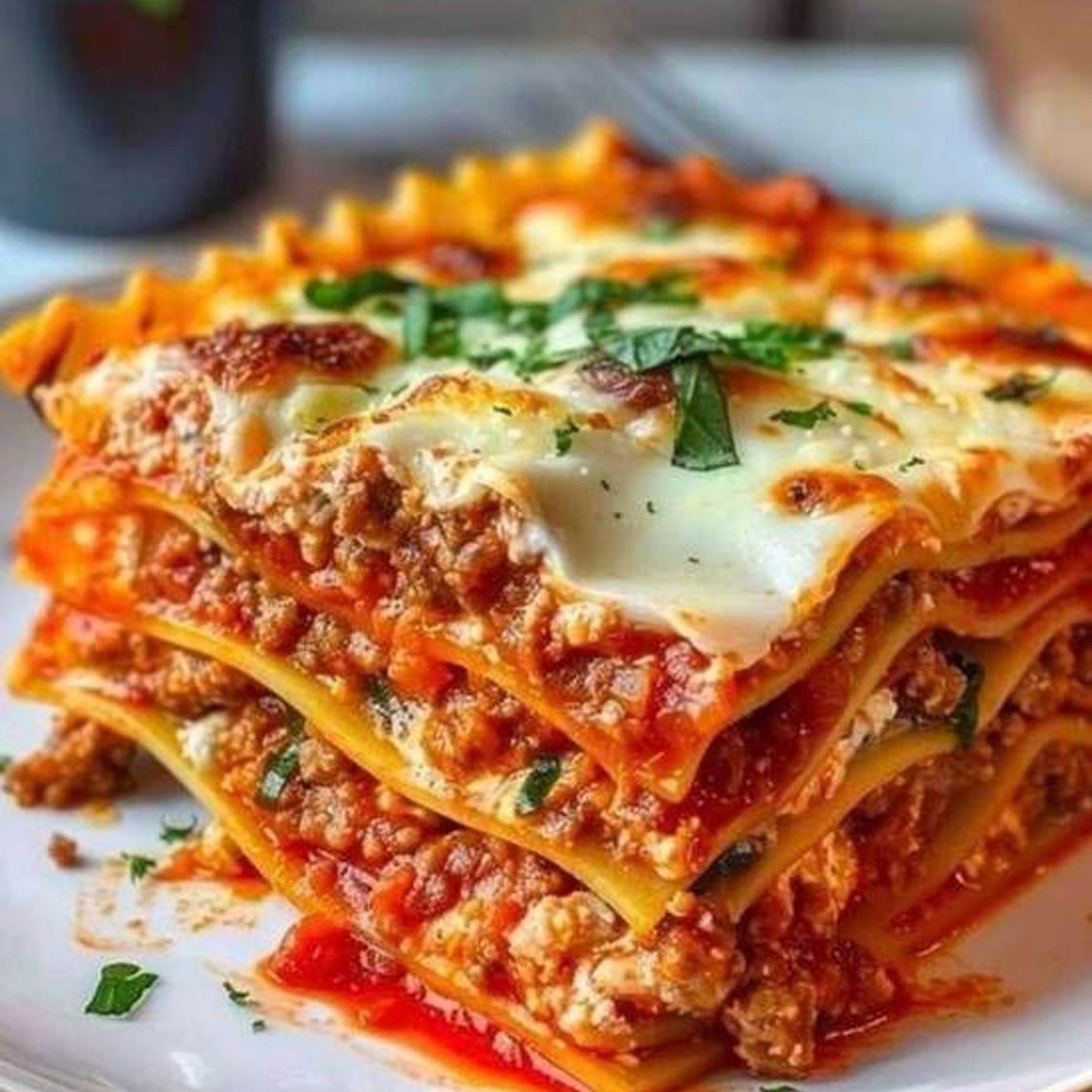 Paquete Lasagna