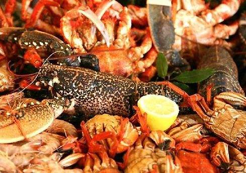ARCA 22 MARISQUERIA
