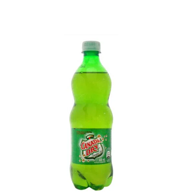 Ginger Ale 600ml