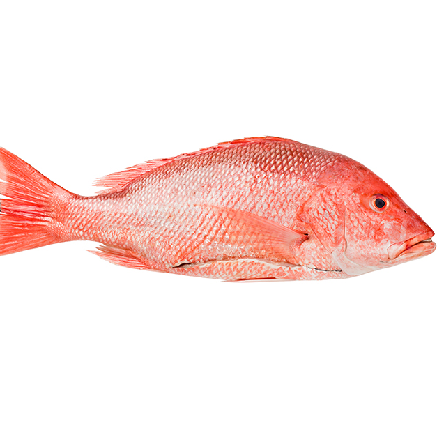 Huachinango por 500Gr