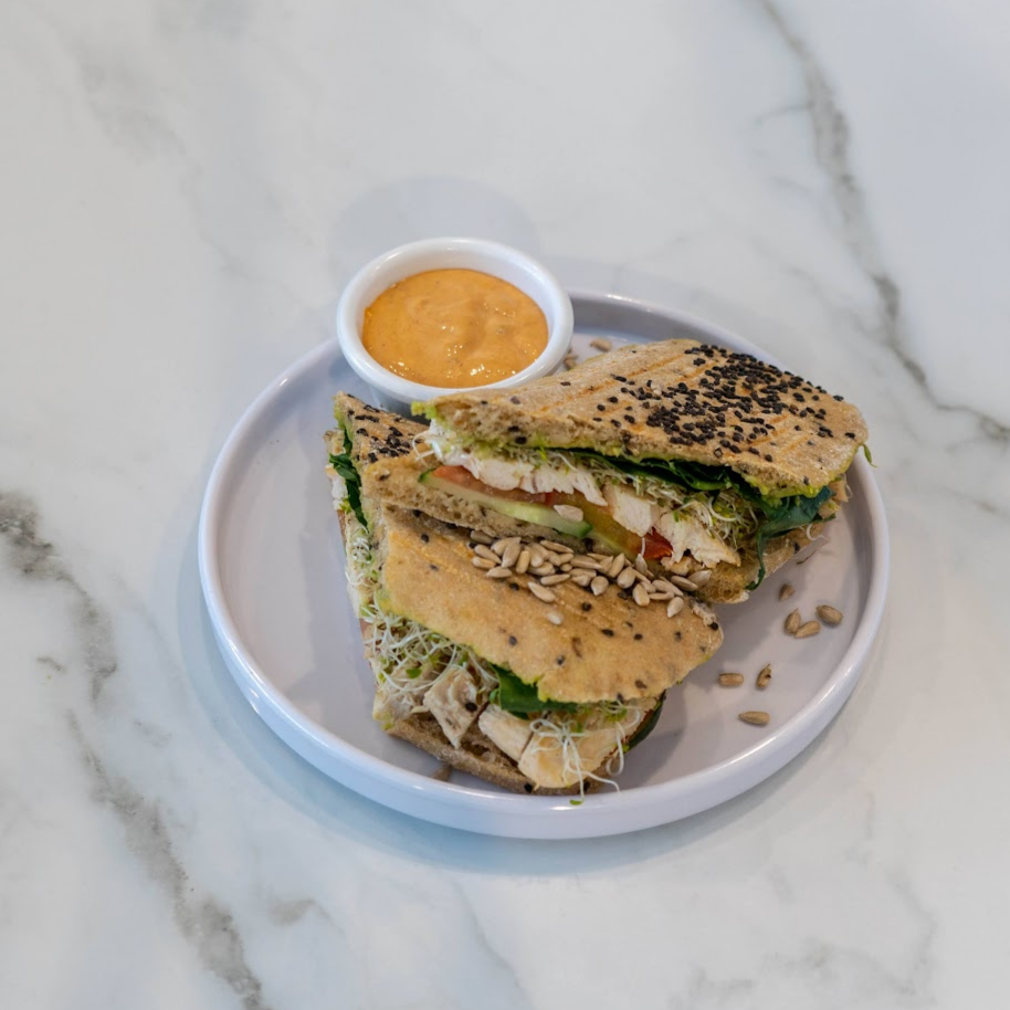 Turkey Italian Panini