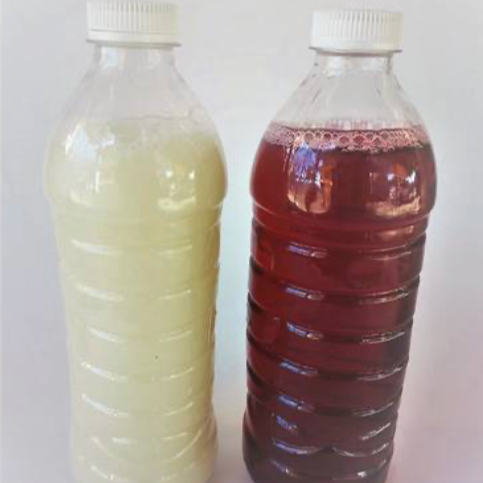 Agua Fresca de Jamaica