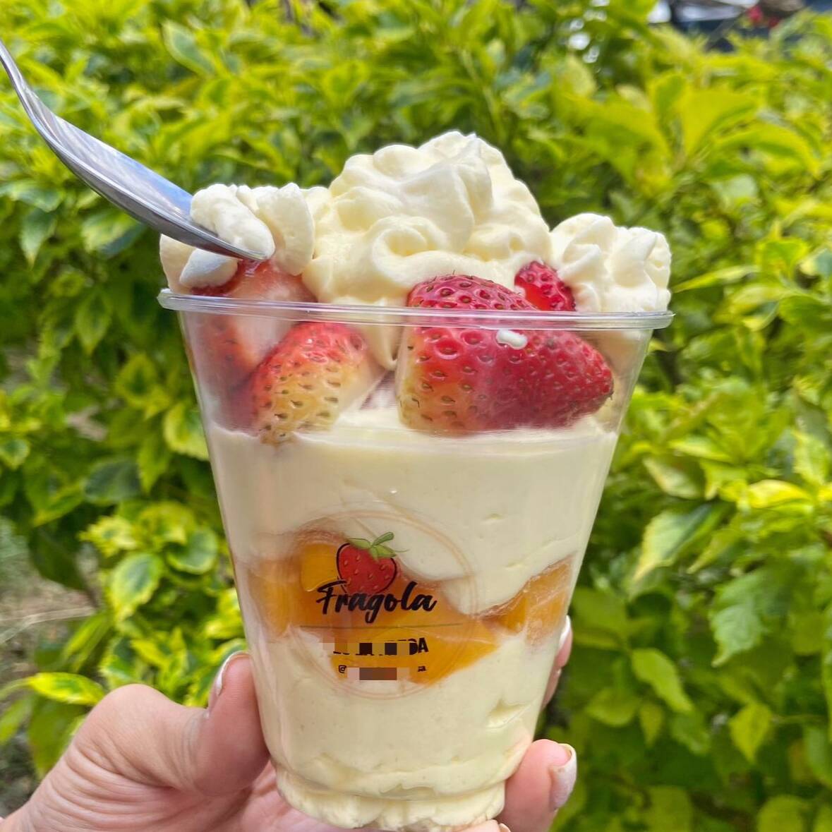 Fragola Mix