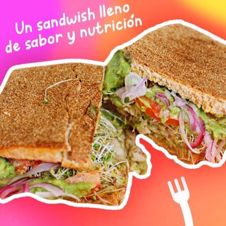 Panini Guacamole Chico