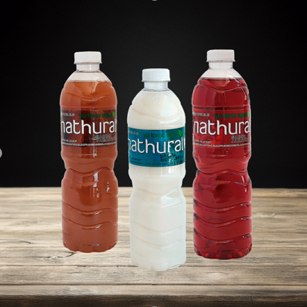 Aguas de Sabor 500 ml