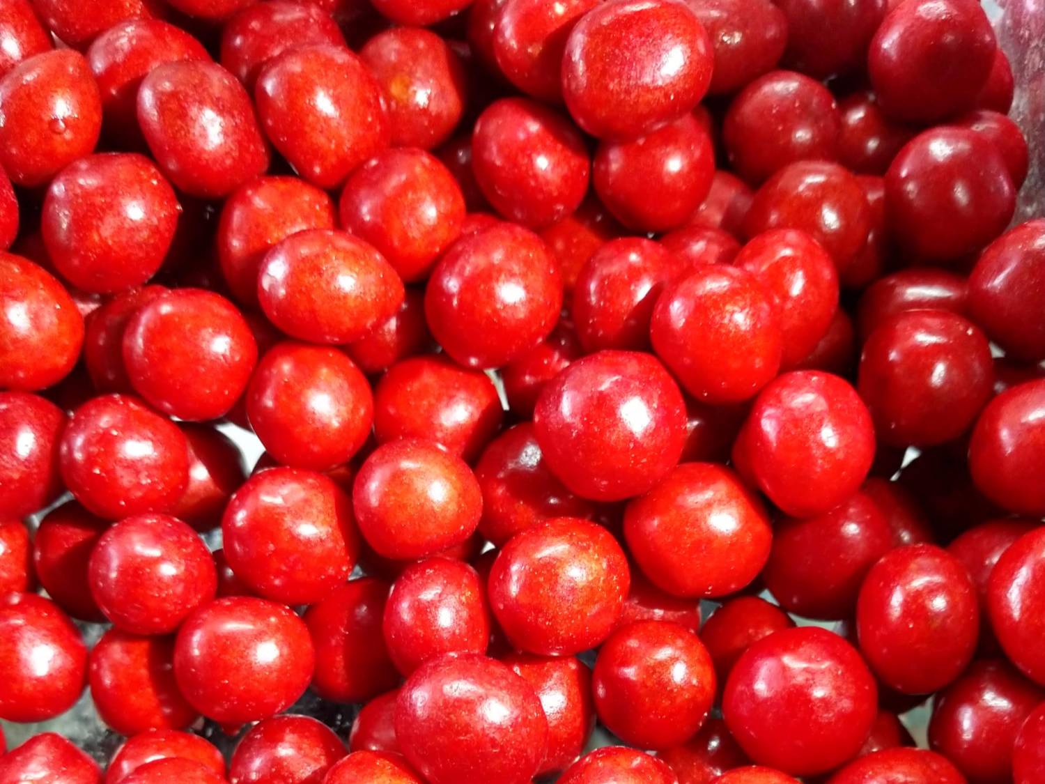 Tamachew (Enchilado)
