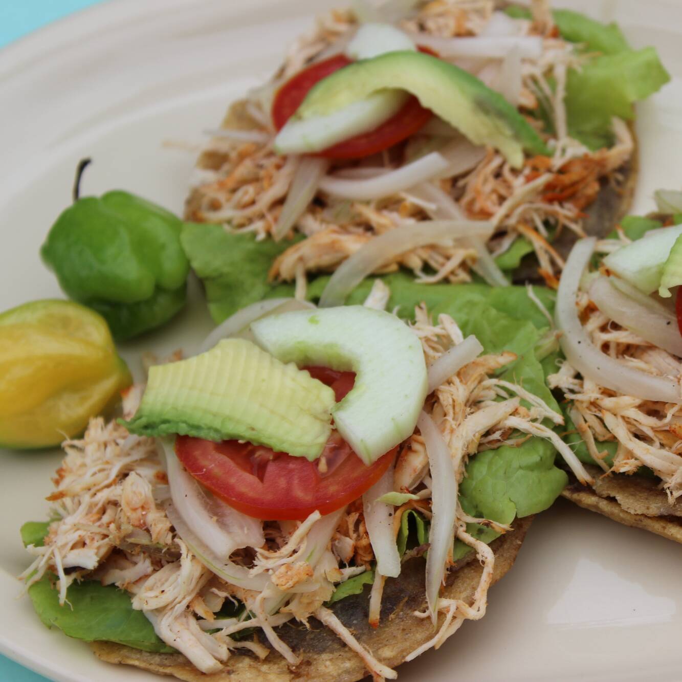 Panucho Clásico De Pavo