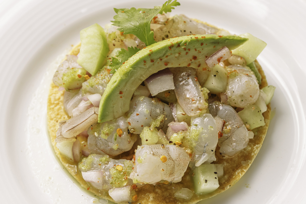 TOSTADA AGUACHILE VERDE