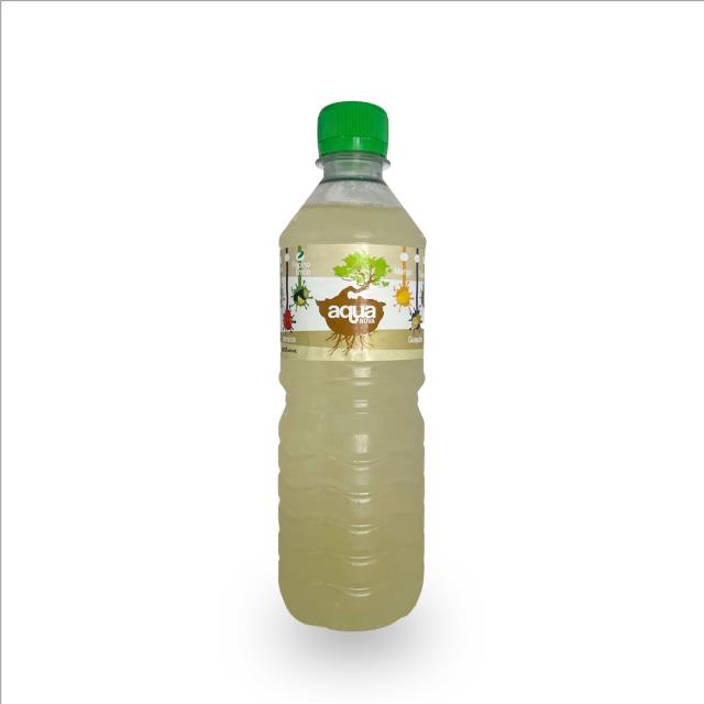 AGUA PEPINO CON LIMÓN