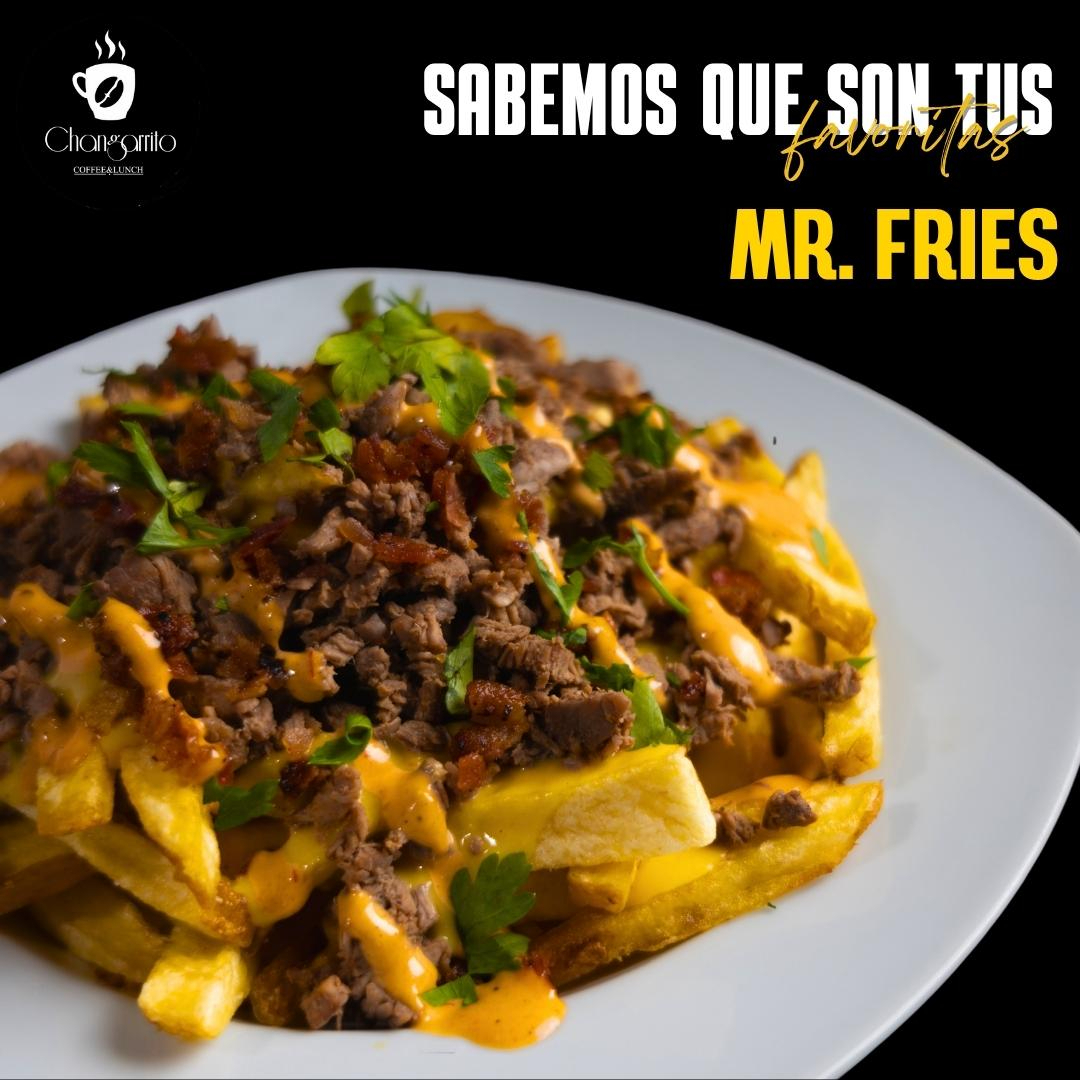 Papas Mr. Fries