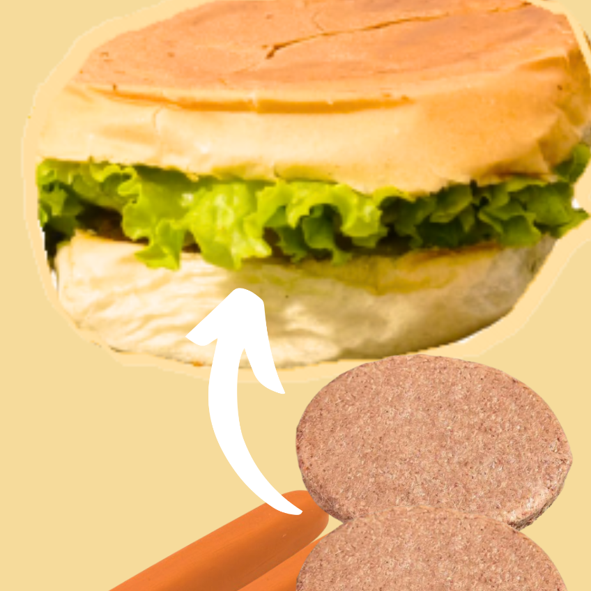 2 vinas perdigao, 2 hamburguer industrial perdigão 56g , maionese industrial dajuda, queijo, presunto, alface, tomate