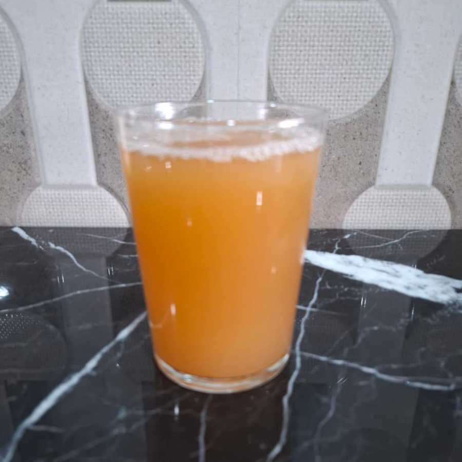 Agua de Tamarindo Medio L