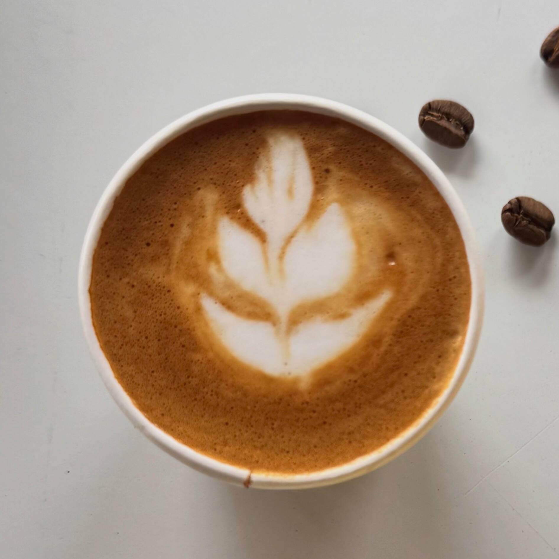 Capuccino