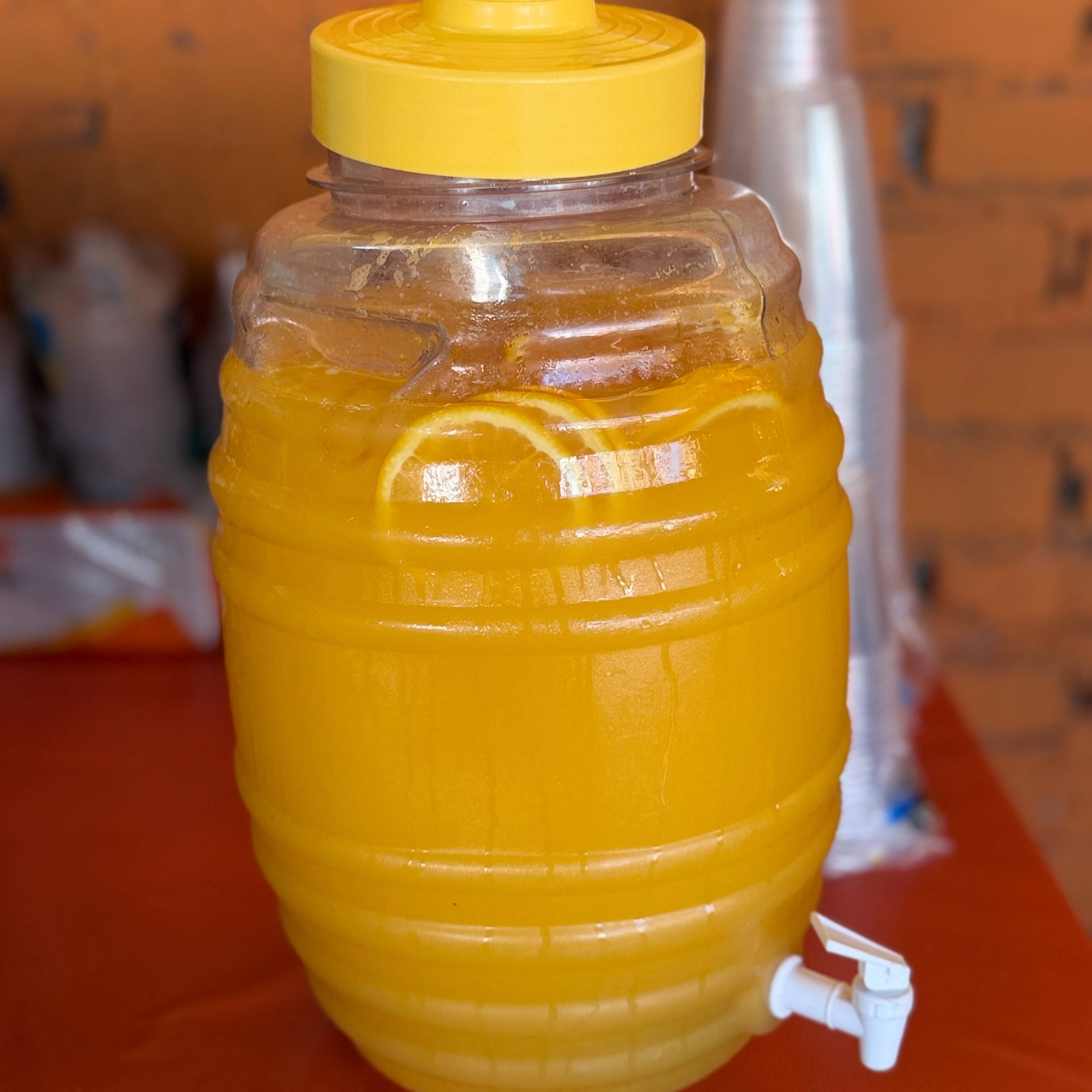 AGUA DEL DIA LITRO