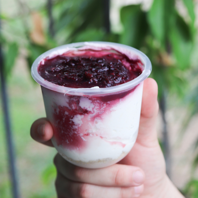 Mousse de Guanábana