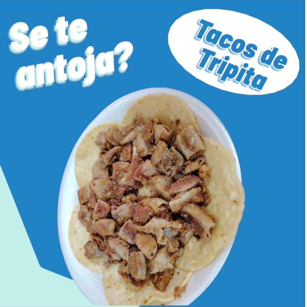 Tacos de Tripita