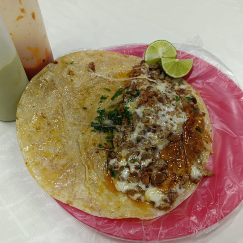 Gringa campechana