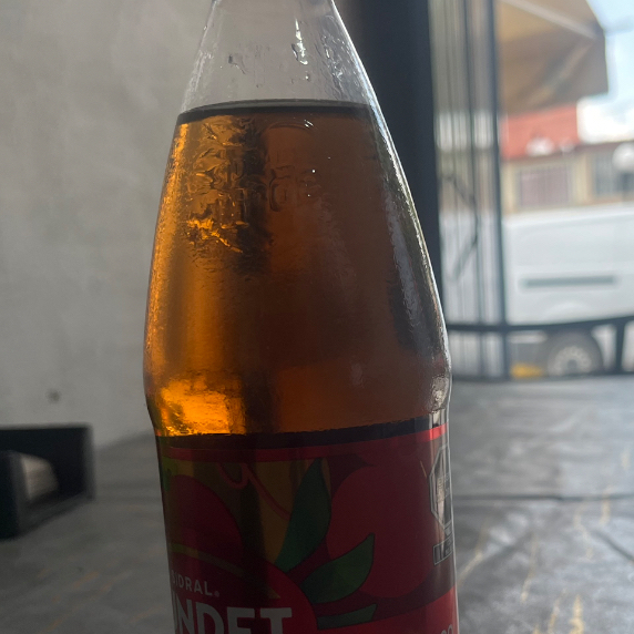Sidral mundet
