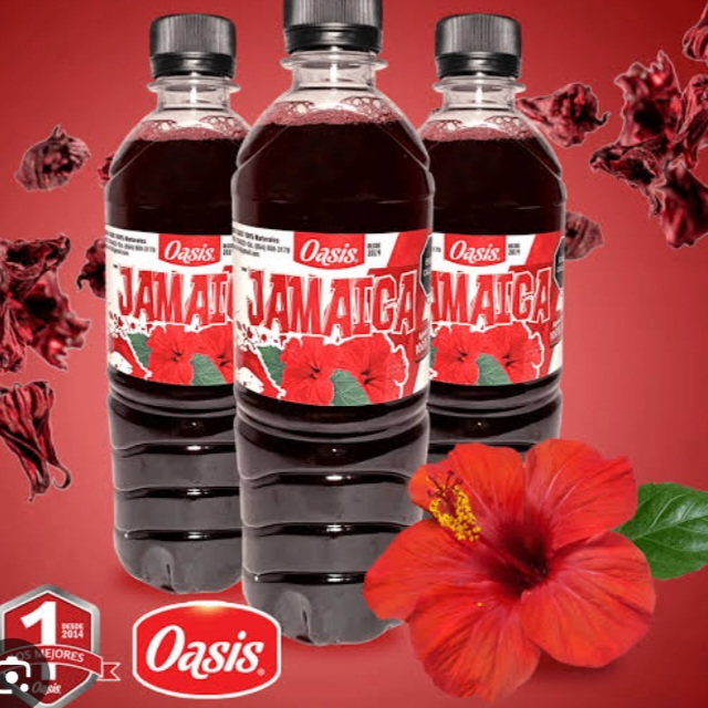 AGUA DE JAMAICA 500 ml