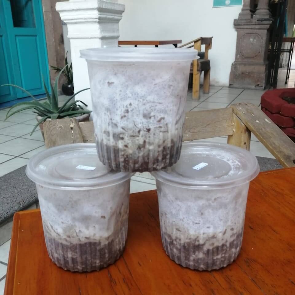 500 Gr de Bistec de Soya