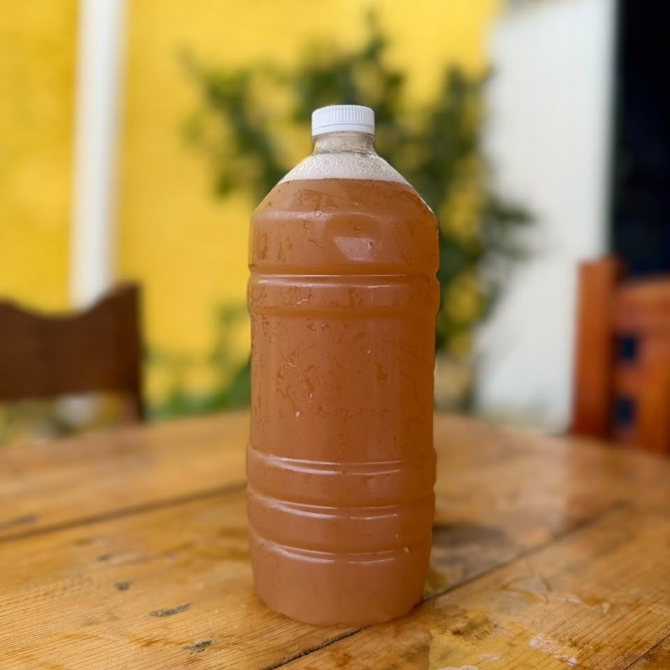 Tamarindo 1 lt