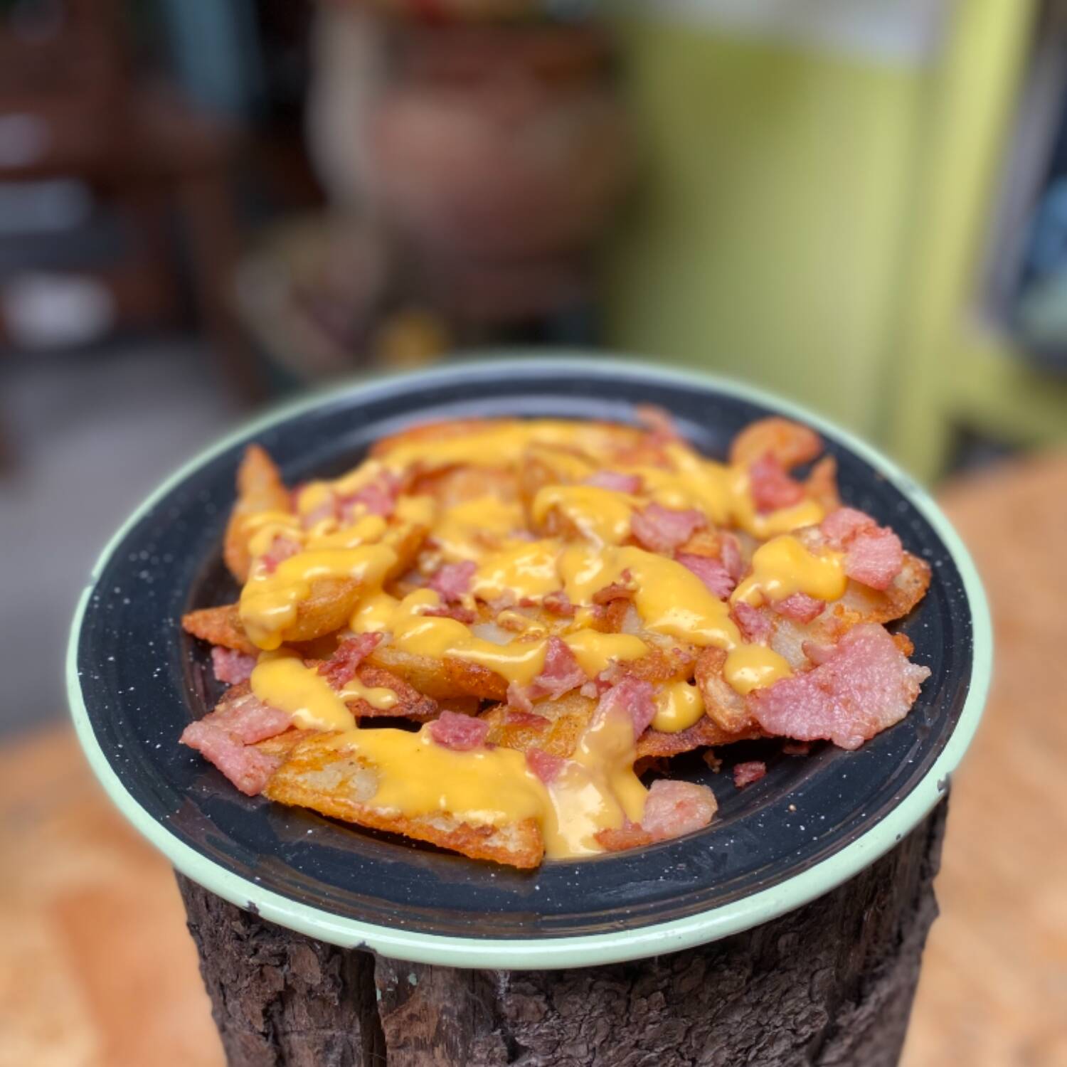 Papas Gajo Enchiladas con Queso Tocino