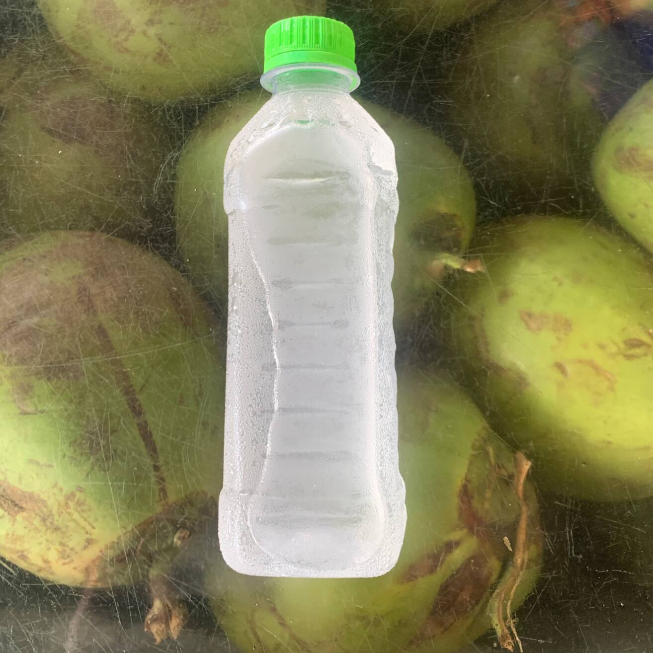 Garrafa de água de coco 350ml
