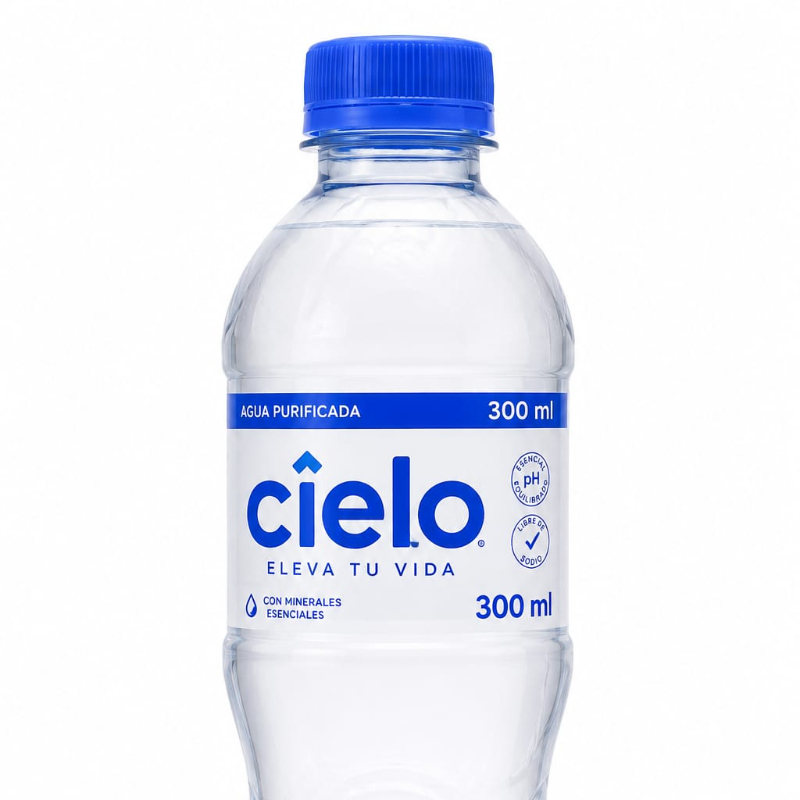 Agua Sin Gas 300ml