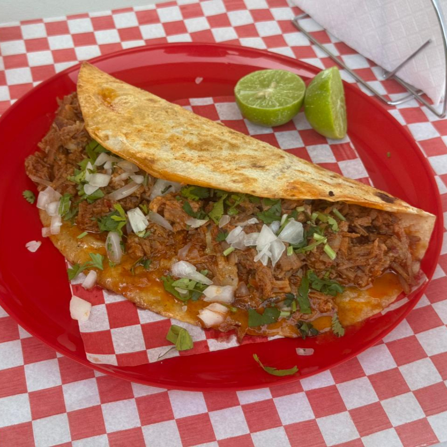 Quesabirria de harina