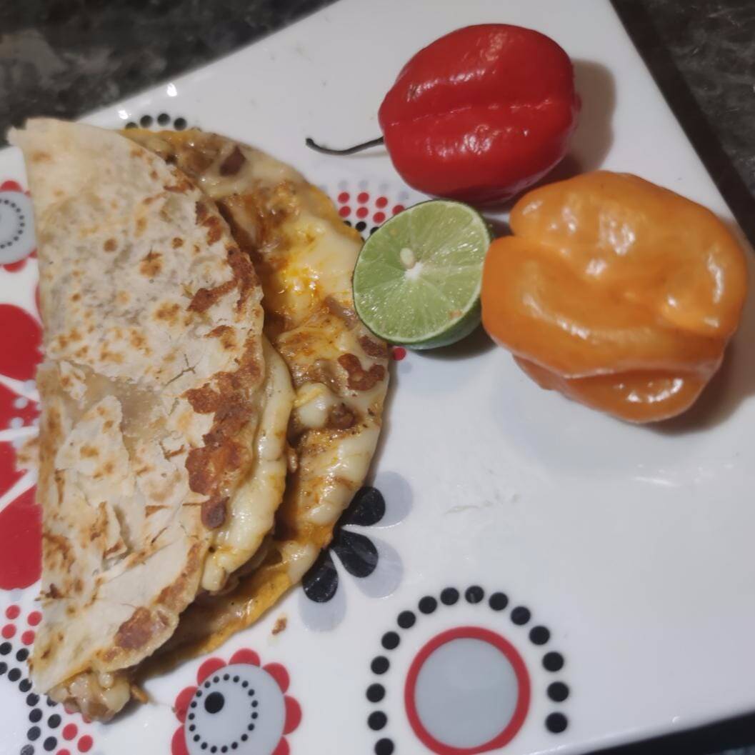 Cochiqueso