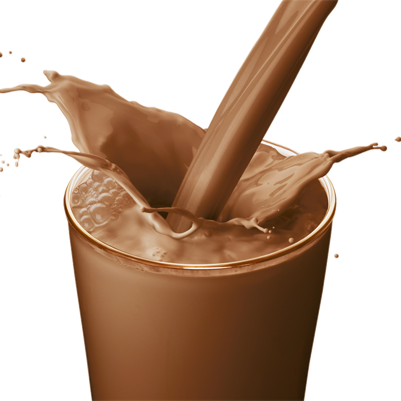 CHOCOMILK 500 Ml