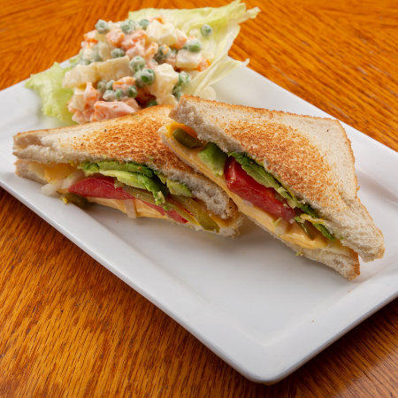 Sándwich Especial