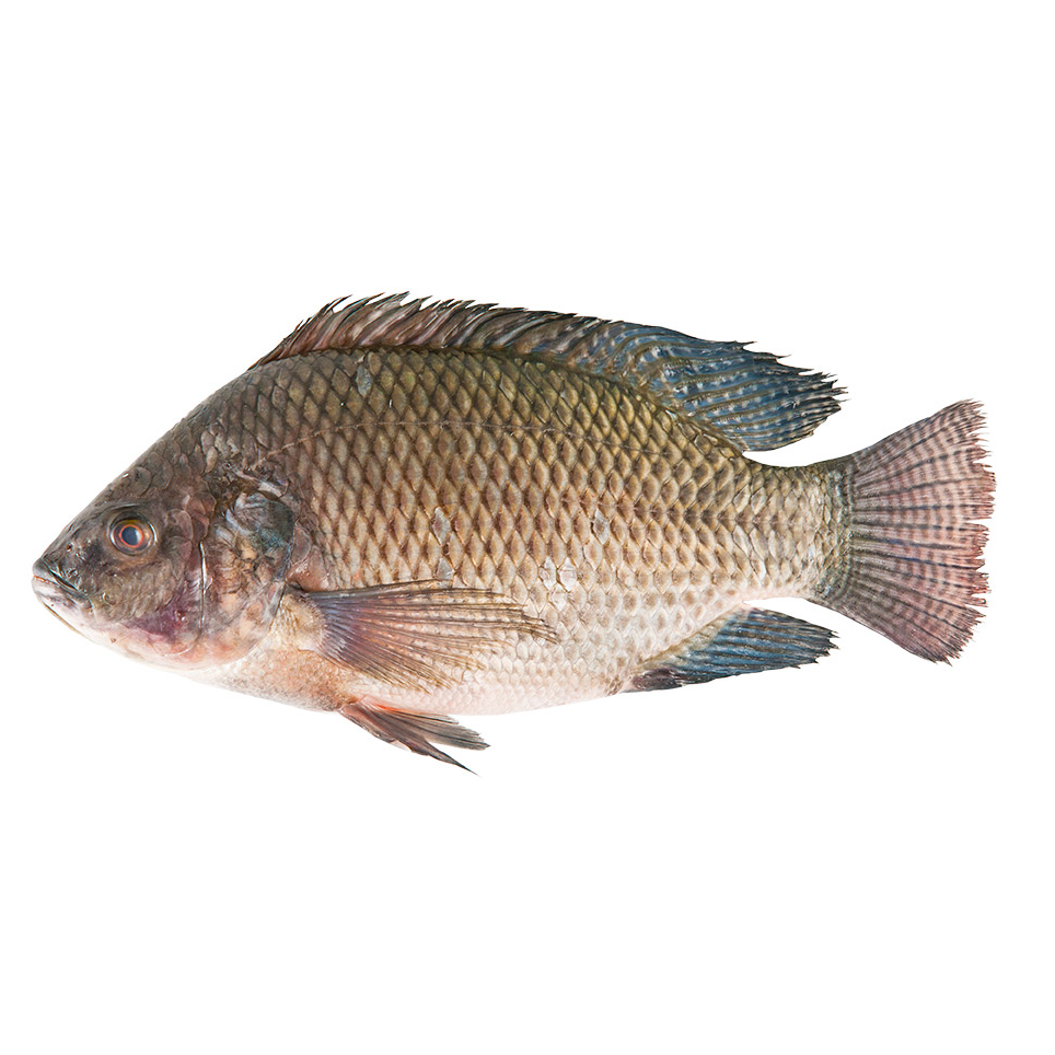 Mojarra 500gr.