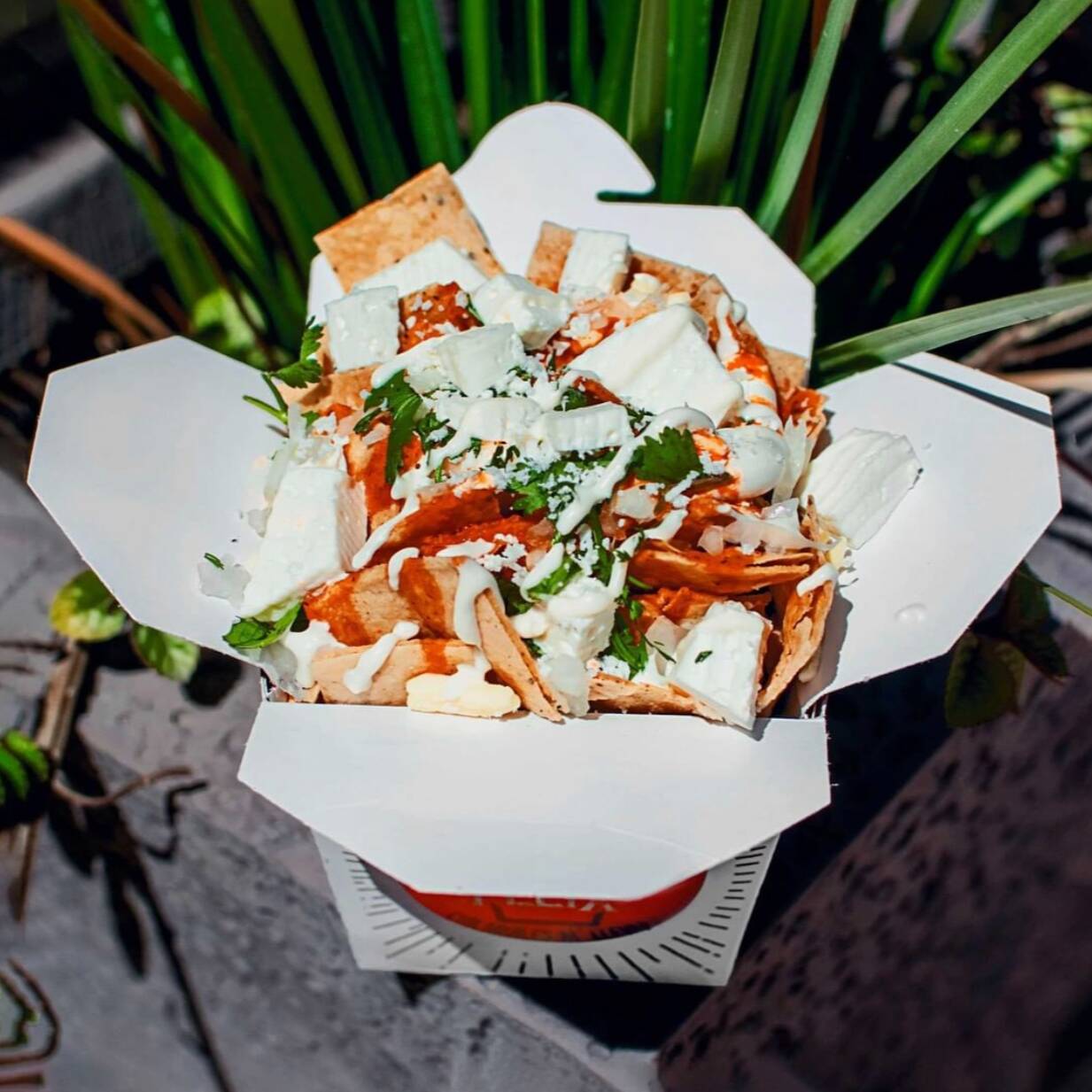 Chilaquiles de Panela