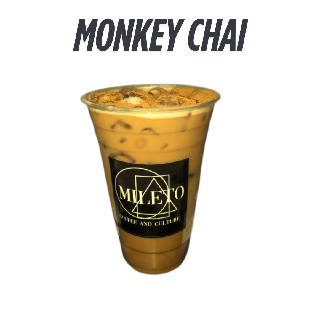 MONKEY CHAI EN LAS ROCAS