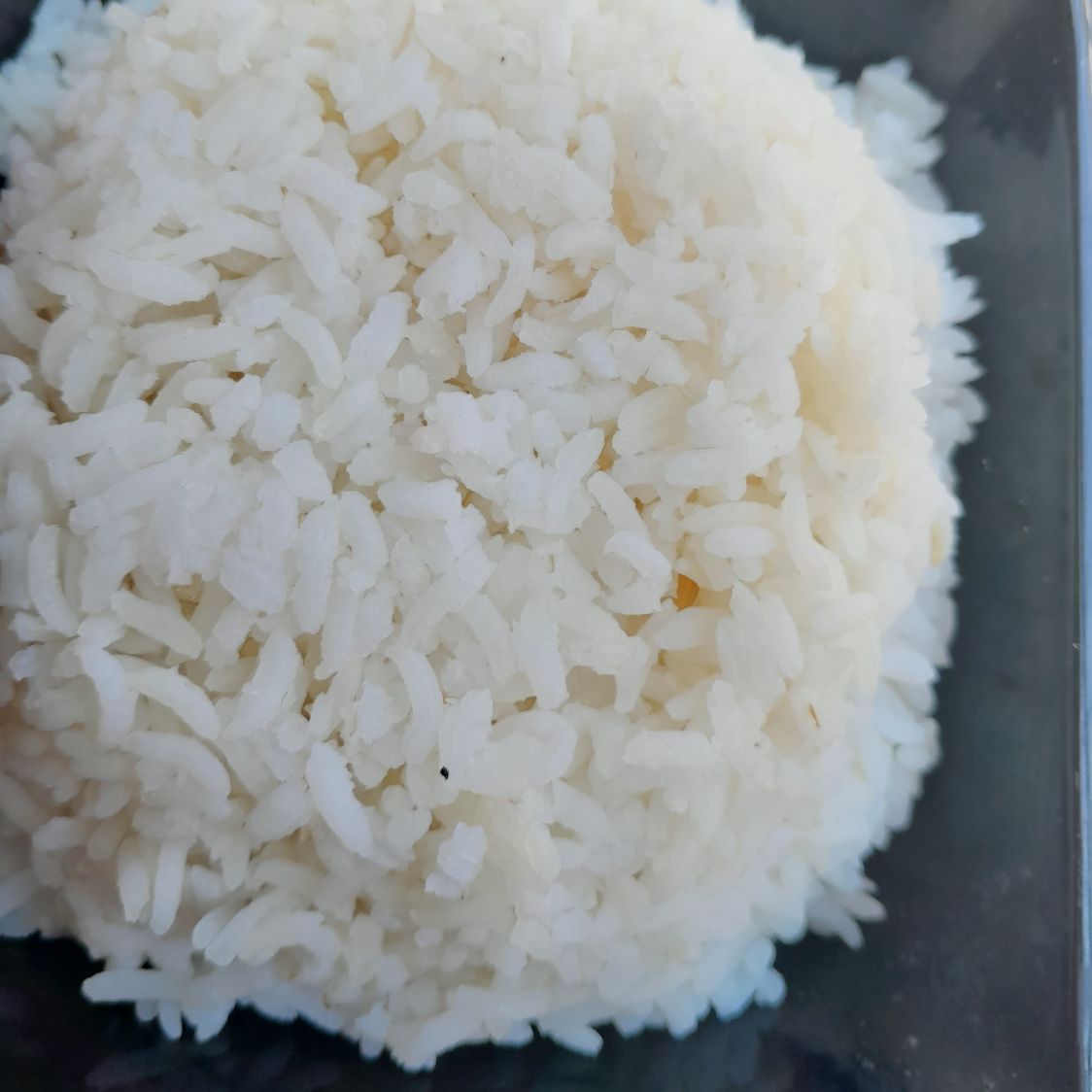 GOHAN SENCILLO