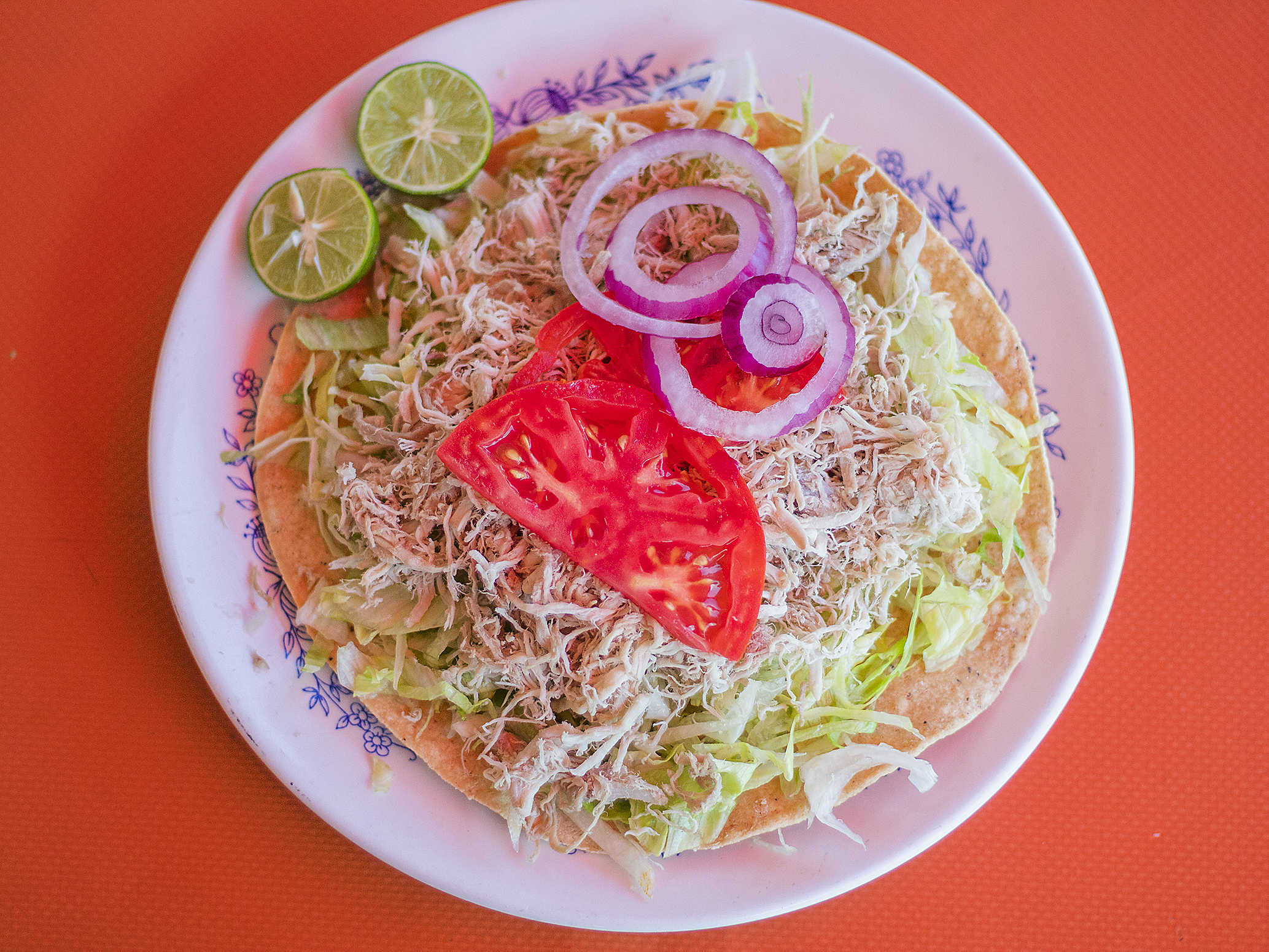 Tostada de Pierna