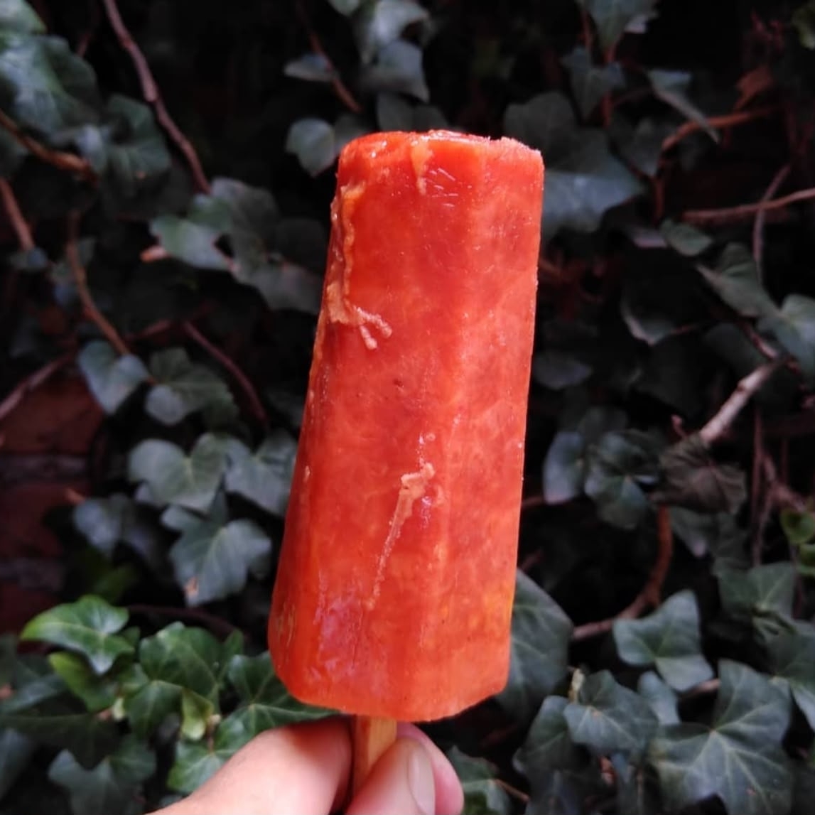 MANGO CON CHILE