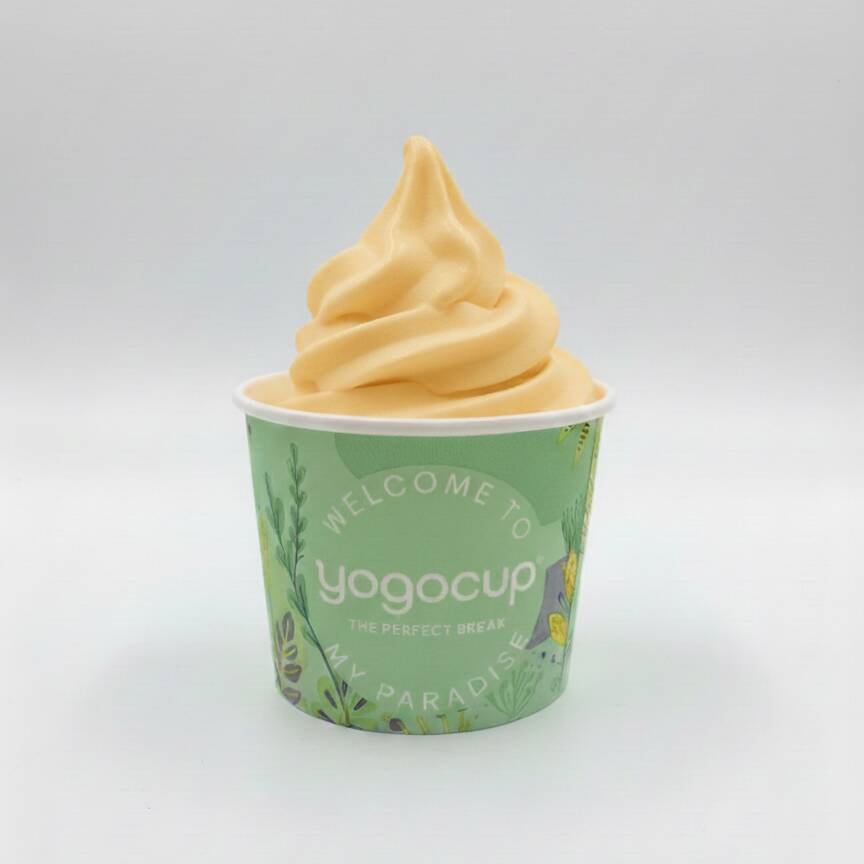Helado de Yogurt Sabor Mango