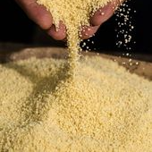 meio kg de farinha de mandioca bem torradinha