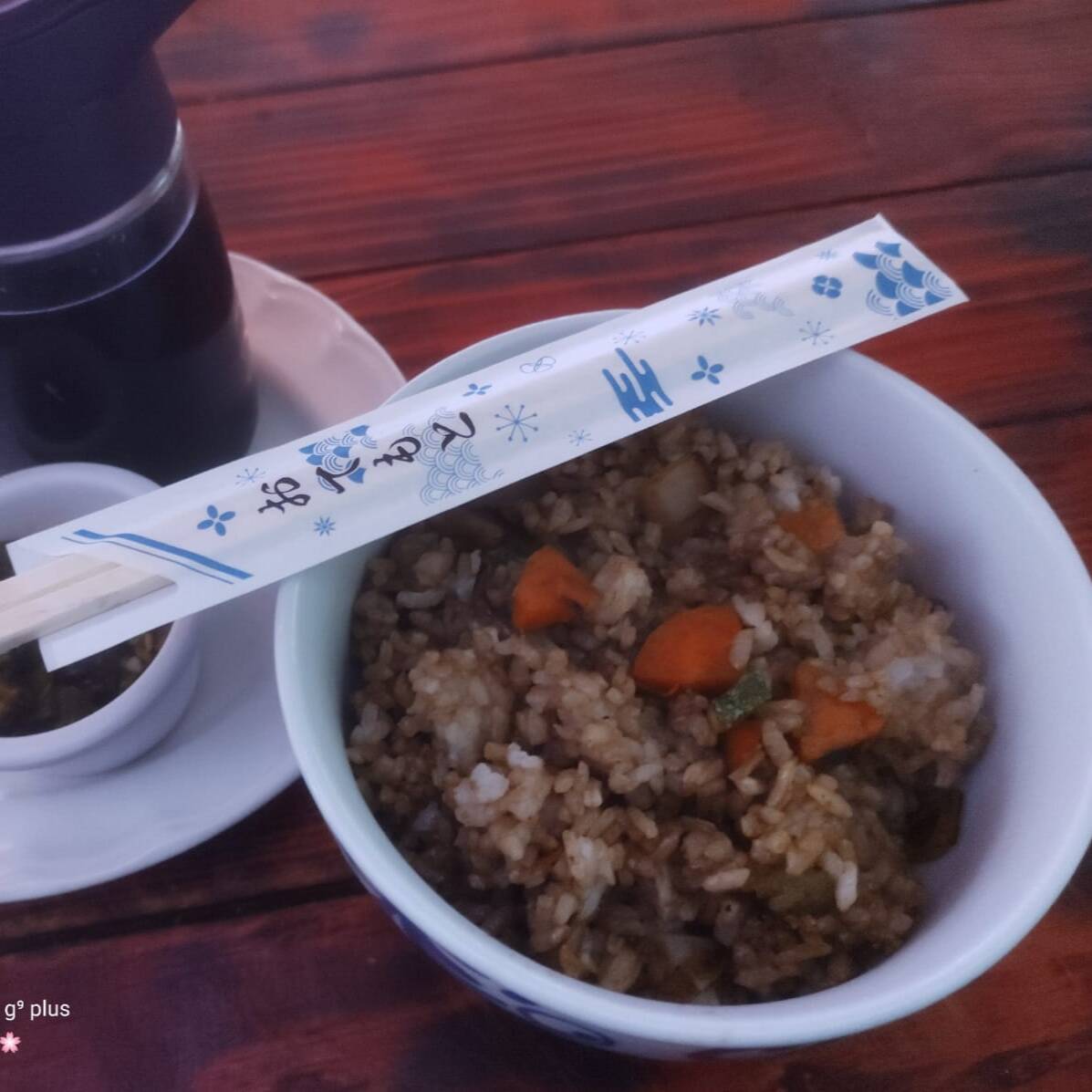Yakimeshi de Pollo